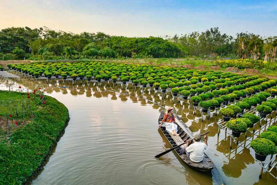 Xuồng ba lá, văn hóa miền sông nước