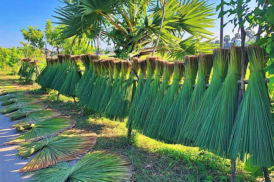 Làng nghề đan cỏ bàng Phú Mỹ